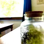 Il Vicolo Nel Apartamento