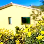 Apartamento Il Vicolo Nel *